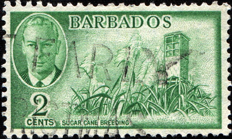 slave history Barbados